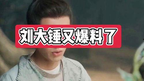 刘大锤爆料了哪些网红视频,网红视频背后的惊人爆料